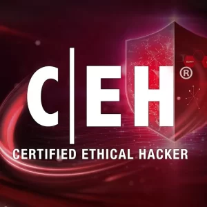 Certified Ethical Hacker (Practical)