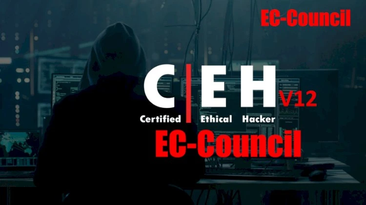 CEH v12 Course Training Certification